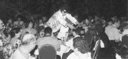 Elvis Thing